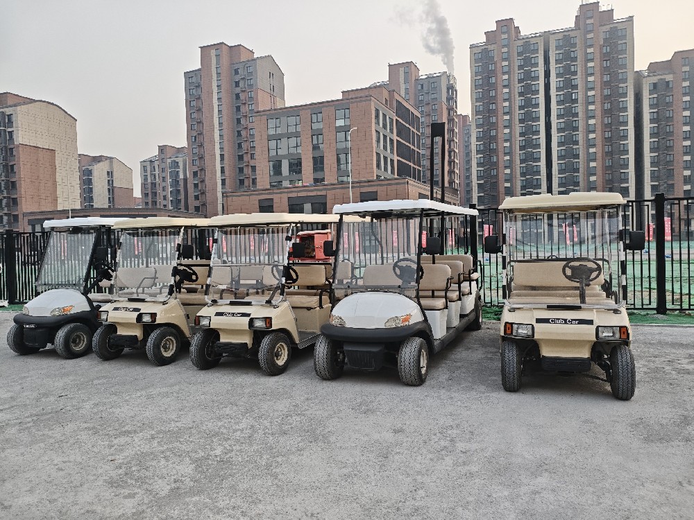 电动巡逻车出租